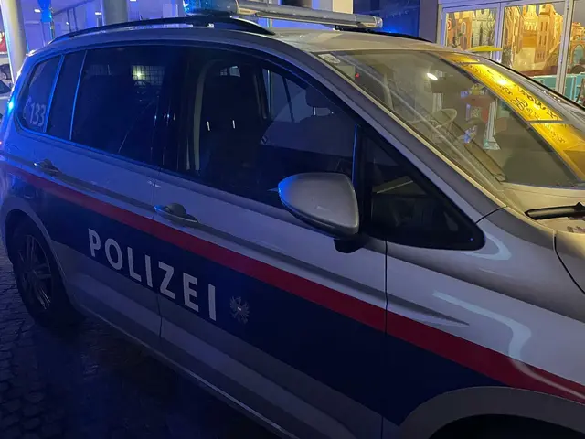 Die Polizei konnte die mutmaßlichen Täter festnehmen. (Symbolfoto) | Foto: MeinBezirk.at
