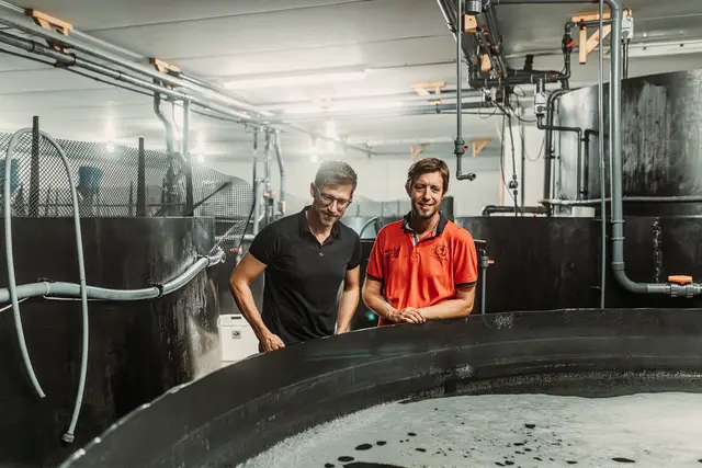 Kremstal Garnelen setzt mit eigener Aufzucht neue Maßstäbe