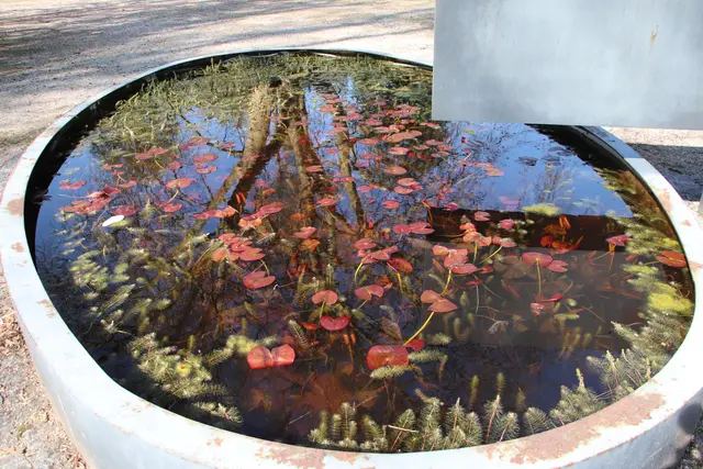 .....besonderer Brunnen im SPIEGELBILD: