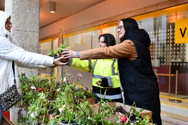Das Blumenverschenken auf dem Rathausplatz ist bereits eine liebe Tradition.  | Foto: Stadt Villach/Cramaro