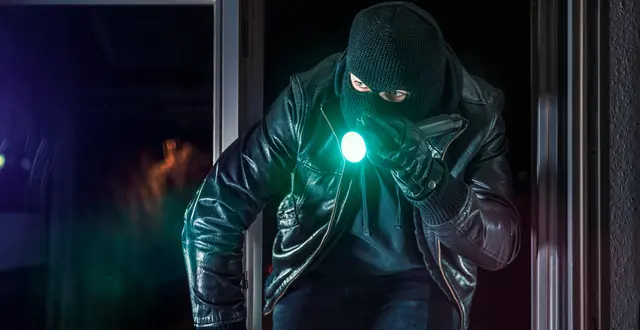 Einbrecher von Kärntnerin (76) im Keller überrascht