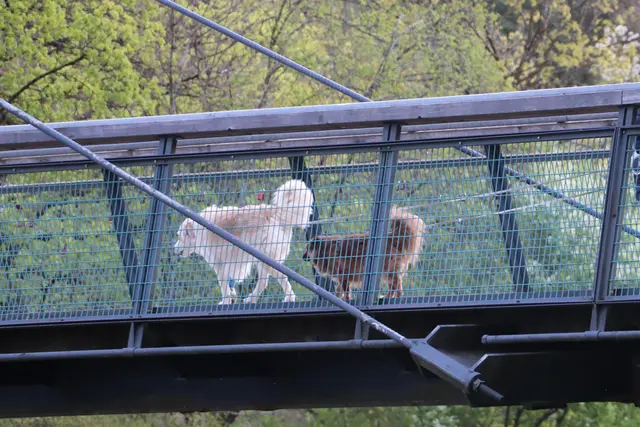 ....Hundebesitzer mögen diesen weitläufigen Park.