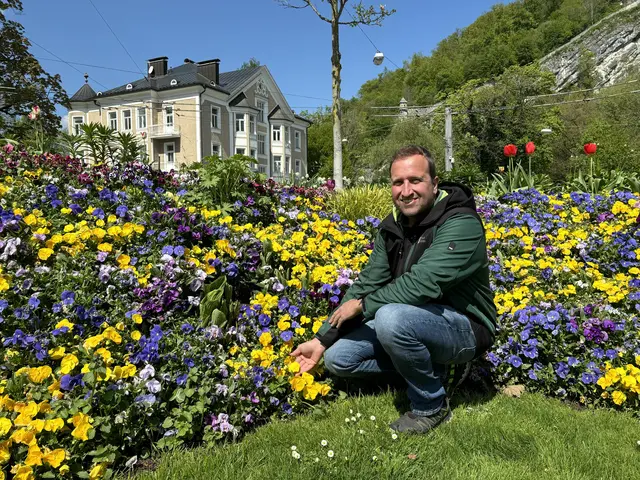 Wie ein farbenfroher Faden ziehen sich bunt blühende Verkehrsinseln und Kreisverkehre durch die Salzburger Stadtteile. Gestaltet und angepflanzt von den Salzburger Stadtgärtnern sind sie ein untrügliches Zeichen dafür, dass der Frühling Einzug gehalten hat. | Foto: Lisa Gold