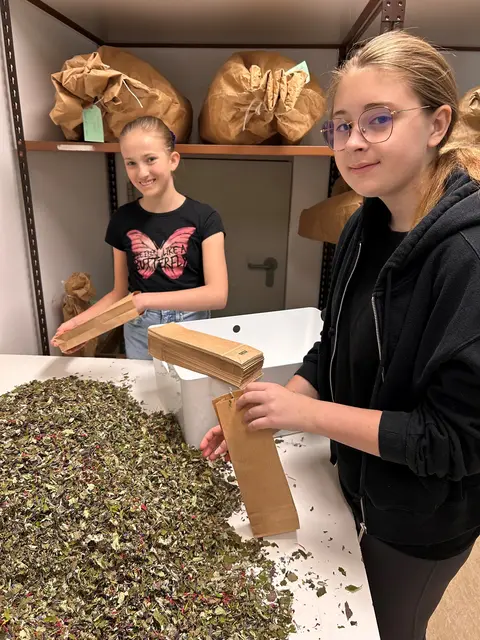 Girls' Day in der Versuchsstation für Spezialkulturen Wies, in der sich Anna Koch und Mia Lenz mit Tee beschäftigt haben. | Foto:  Land Steiermark/Doris Lengauer