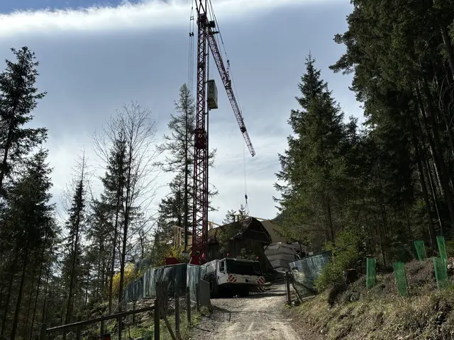 Foto: MeinBezirk/Angelika Kern