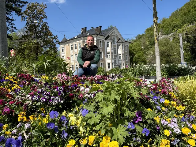 Wie ein farbenfroher Faden ziehen sich bunt blühende Verkehrsinseln und Kreisverkehre durch die Salzburger Stadtteile. Gestaltet und angepflanzt von den Salzburger Stadtgärtnern sind sie ein untrügliches Zeichen dafür, dass der Frühling Einzug gehalten hat. | Foto: Lisa Gold