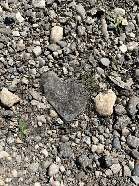 Auch aus STEINEN, die einem in den Weg gelegt werden, kann man etwas Schönes bauen!(Zitat)