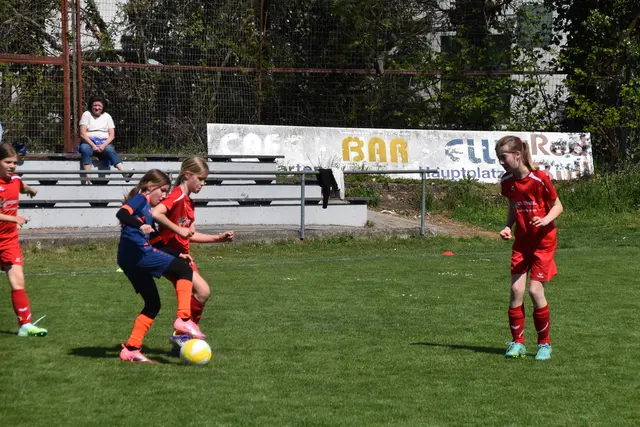 Foto: MeinBezirk/Michael Strini