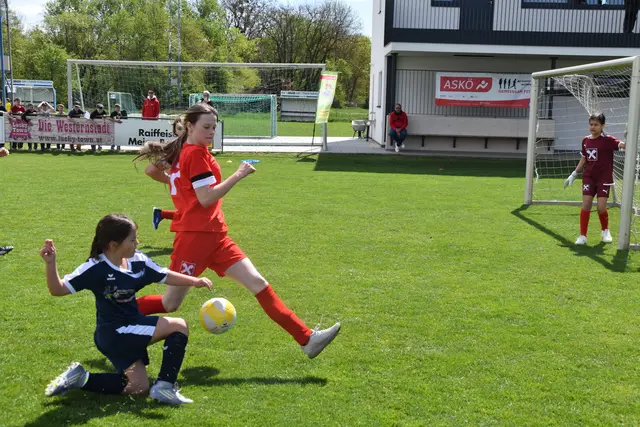 Foto: MeinBezirk/Michael Strini