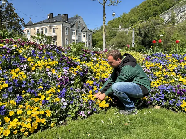 Wie ein farbenfroher Faden ziehen sich bunt blühende Verkehrsinseln und Kreisverkehre durch die Salzburger Stadtteile. Gestaltet und angepflanzt von den Salzburger Stadtgärtnern sind sie ein untrügliches Zeichen dafür, dass der Frühling Einzug gehalten hat. | Foto: Lisa Gold
