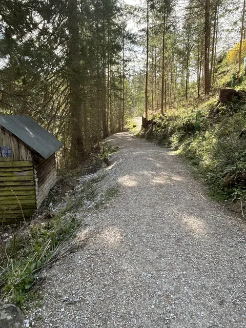 Foto: MeinBezirk/Angelika Kern