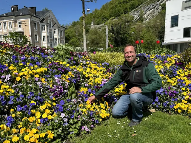 Wie ein farbenfroher Faden ziehen sich bunt blühende Verkehrsinseln und Kreisverkehre durch die Salzburger Stadtteile. Gestaltet und angepflanzt von den Salzburger Stadtgärtnern sind sie ein untrügliches Zeichen dafür, dass der Frühling Einzug gehalten hat. | Foto: Lisa Gold