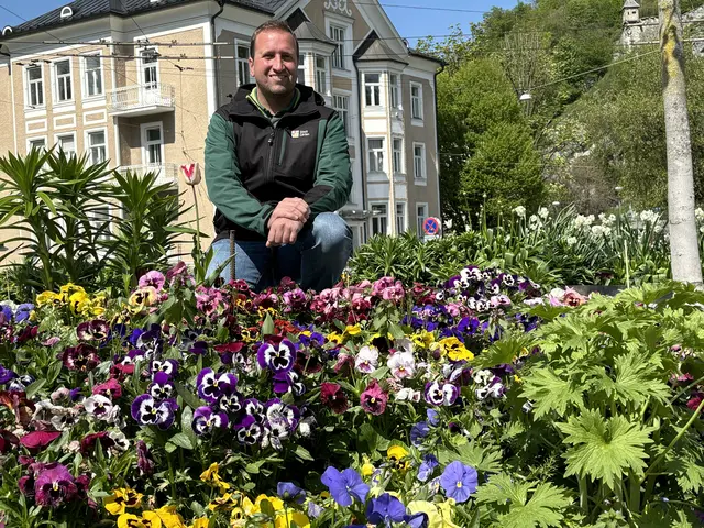Wie ein farbenfroher Faden ziehen sich bunt blühende Verkehrsinseln und Kreisverkehre durch die Salzburger Stadtteile. Gestaltet und angepflanzt von den Salzburger Stadtgärtnern sind sie ein untrügliches Zeichen dafür, dass der Frühling Einzug gehalten hat. | Foto: Lisa Gold