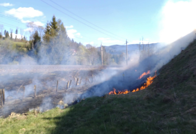 Die Flammen breiteten sich rasch aus. | Foto: BM Peter Lintschinger-Kobald