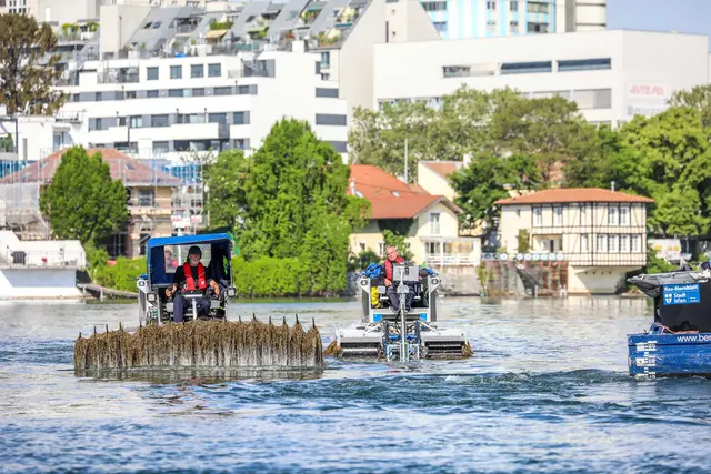 Frühlingserwachen an Wiens Gewässern: Saisonstart für Mähboote, Donauinselschafe und Copa Cruise! | Foto: Christian Fürthner