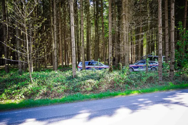Foto: Daniel Scharinger