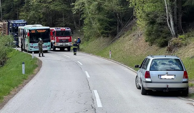 Gerissene Stromleitung löst Feuerwehreinsatz aus