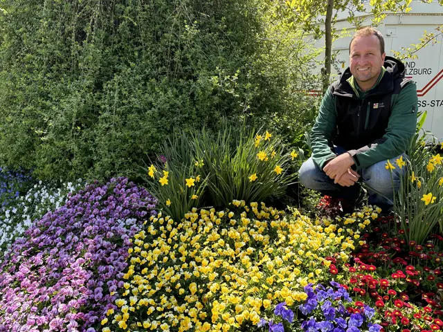 Ein buntes Blütenmeer beim Kreisverkehr am Rudolfsplatz: Stadtgärtner Josef Wanka setzt jedes Jahr auf neue Farben und Pflanzen. | Foto: Lisa Gold