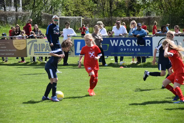 Foto: MeinBezirk/Michael Strini