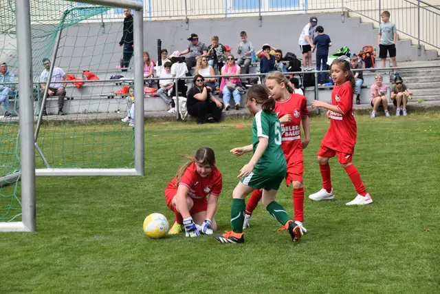 Foto: MeinBezirk/Michael Strini