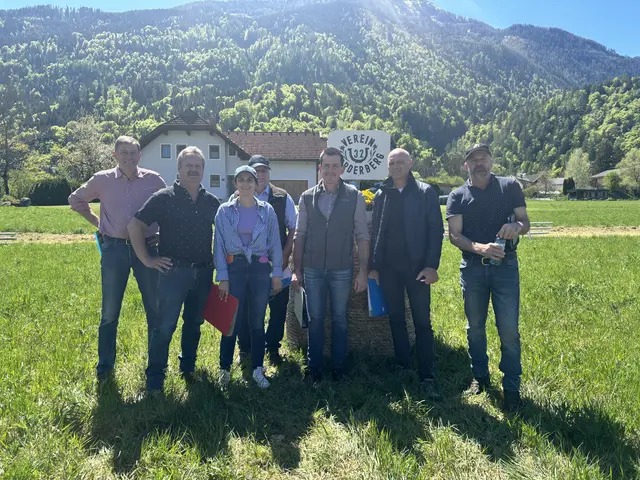 Großes Interesse bei Stutbuchaufnahme in Vorderberg