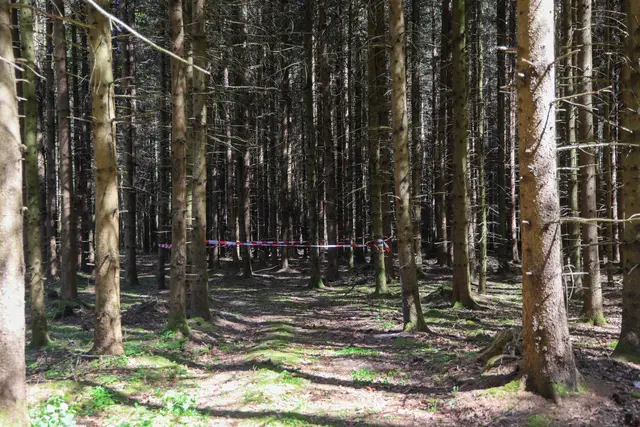 Foto: Daniel Scharinger