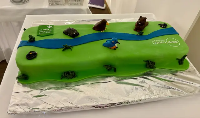 Zum Jubiläum gab es eine wunderschöne Torte. | Foto: MeinBezirk/Birgit Bachhofner