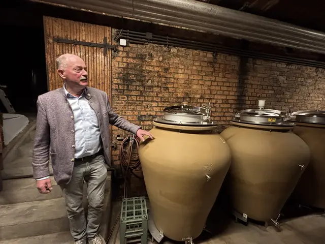 Bei der Kellerführung stellte Franz Netzl die innovativen Wein-Amphoren aus Ton vor.  | Foto: MeinBezirk/Birgit Bachhofner