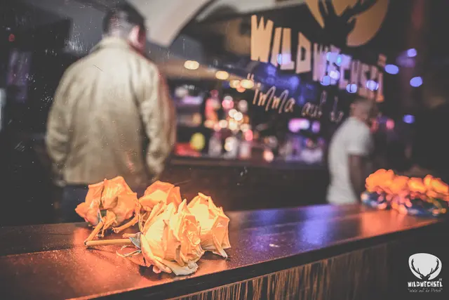 Mega-Party beim Revival von Accident in Paradies im Welser Wildwechsel. | Foto: Rene Hauser
