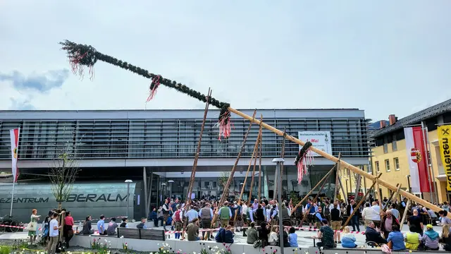 Maibaum aufstellen in Oberalm