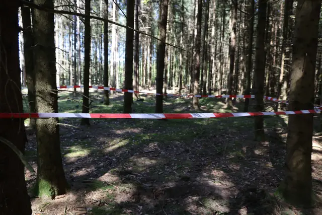Foto: Daniel Scharinger