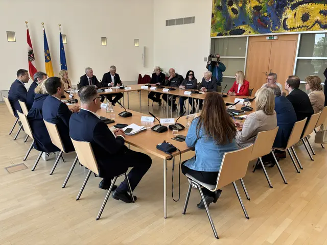 Die Landesregierung zeigte sich gesprächsbereit, doch die "Plattform NÖ" ist noch nicht zufrieden | Foto: Lauren Fahrenberger / MeinBezirk