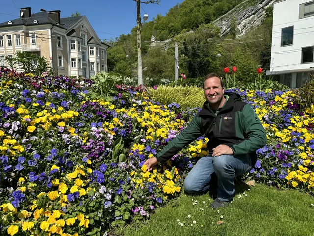 Wie ein farbenfroher Faden ziehen sich bunt blühende Verkehrsinseln und Kreisverkehre durch die Salzburger Stadtteile. Gestaltet und angepflanzt von den Salzburger Stadtgärtnern sind sie ein untrügliches Zeichen dafür, dass der Frühling Einzug gehalten hat. | Foto: Lisa Gold