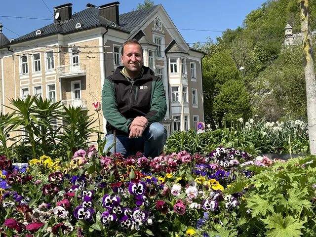 Wie ein farbenfroher Faden ziehen sich bunt blühende Verkehrsinseln und Kreisverkehre durch die Salzburger Stadtteile. Gestaltet und angepflanzt von den Salzburger Stadtgärtnern sind sie ein untrügliches Zeichen dafür, dass der Frühling Einzug gehalten hat. | Foto: Lisa Gold