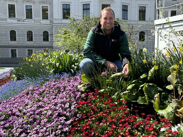 Ein buntes Blütenmeer beim Kreisverkehr am Rudolfsplatz: Stadtgärtner Josef Wanka setzt jedes Jahr auf neue Farben und Pflanzen. | Foto: Lisa Gold