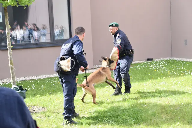 Im Burgenland gibt es aktuell 25 Beamte bei der Polizeihundestaffel.  | Foto: Stefan Schneider  / MeinBezirk