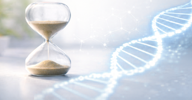 Longevity ist längst nicht mehr nur eine Frage der Gesundheit, sondern eine Entwicklung mit wachsender wirtschaftlicher Relevanz, denn an der Schnittstelle von Wissenschaft, Medizin, Technologie und Dienstleistung entstehen neue Märkte, Berufsfelder und Kooperationen.
 | Foto: LB