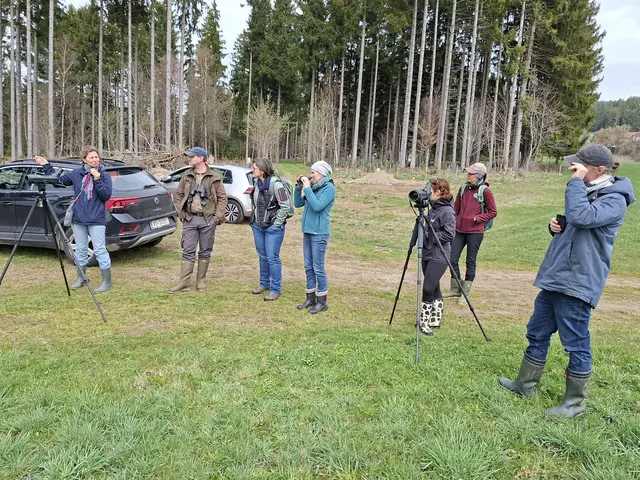 Vogelkundliche Exkursion in der önj ÖKO-Insel Stadl Au in Panidorf, Gemeinde Klaffer   | Foto: önj OÖ