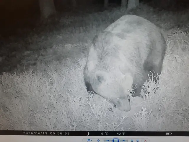 Hier sieht man das Tier auf der Kamera. | Foto: Privat