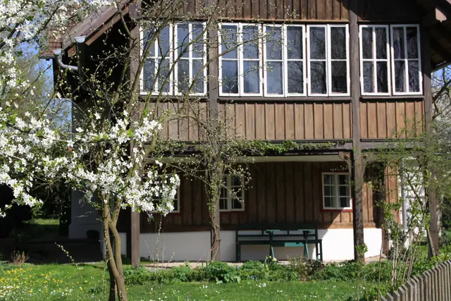 Von Pilzen bis Bauernaufständen – so vielfältig sind Schärdings Museen