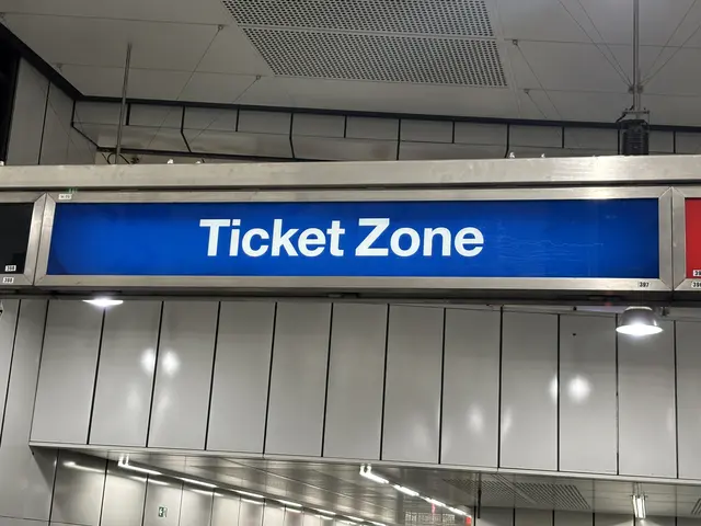 Auch als blaue Beschilderung über den Köpfen der Fahrgäste ist die Ticketzone sichtbar. | Foto: MeinBezirk