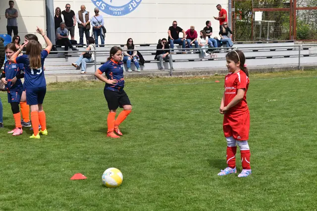 Foto: MeinBezirk/Michael Strini