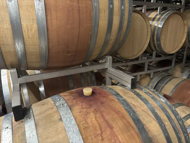 Holzfässer sind aber nach wie vor in Betrieb.  | Foto: MeinBezirk/Birgit Bachhofner