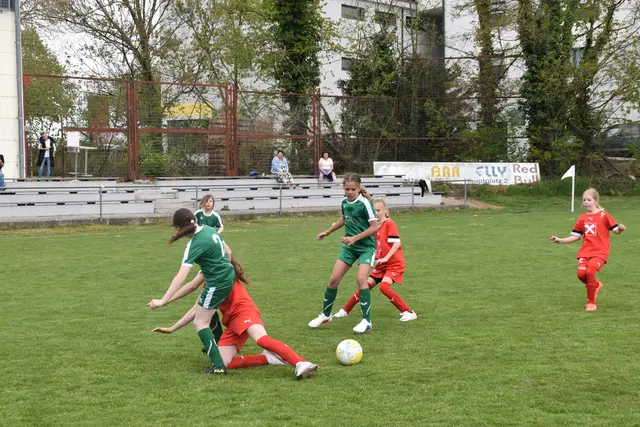 Foto: MeinBezirk/Michael Strini