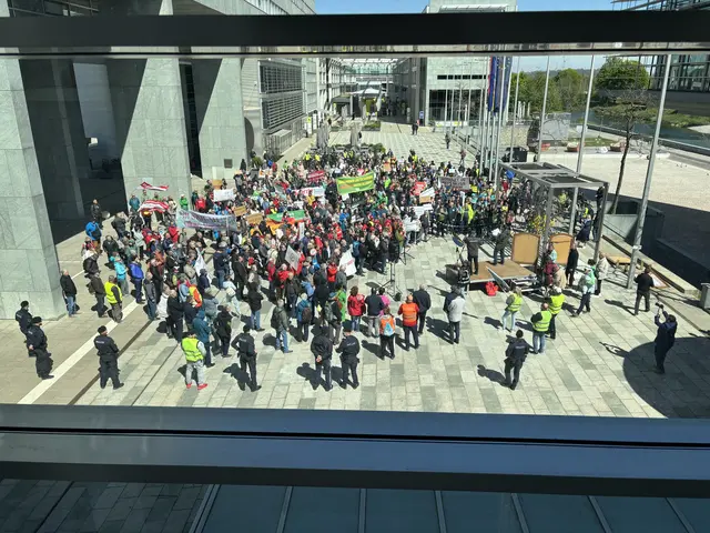 Durch die Landtagssitzung hatten viele Politikerinnen und Politiker NÖs einen Blick auf die Demo vor dem Landtag | Foto: Lauren Fahrenberger / MeinBezirk