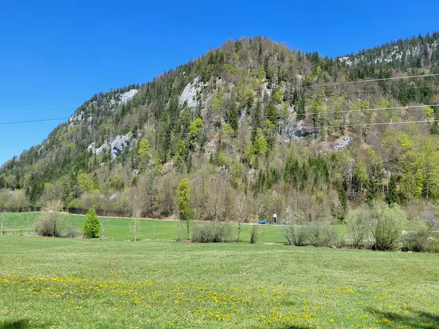 Ellmaustein  | Foto: H.Bachinger