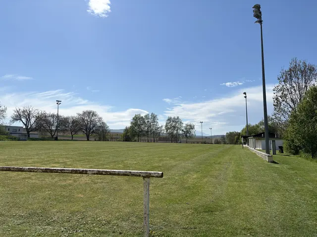 In der Gemeinde Krensdorf kümmert sich die Gemeinde um die Instandhaltung des Sportplatzes. Offiziell gekickt wird hier aber schon lange nicht mehr.  | Foto: MeinBezirk / Jennifer Flechl