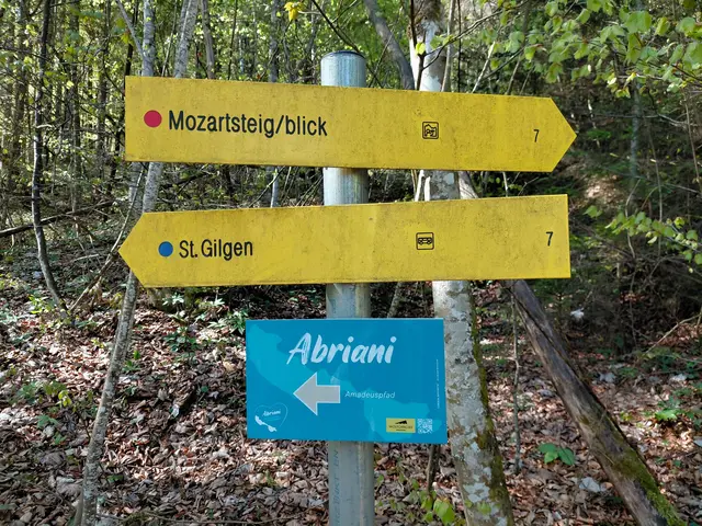 Richtung Mozartsteig  | Foto: H.Bachinger