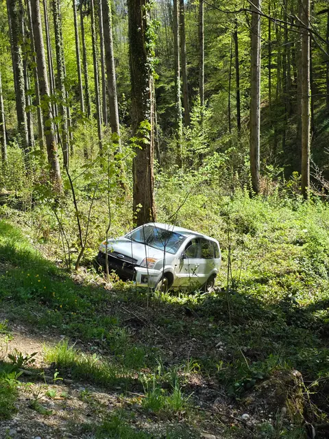 Auto landet im Wald - Unfall ist glimpflich ausgegangen