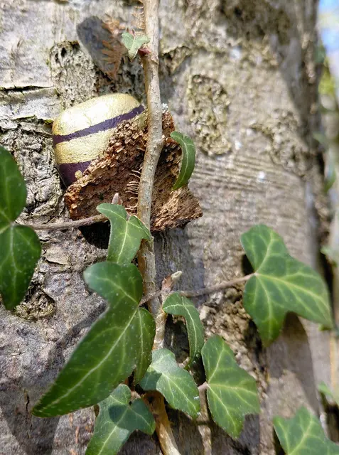 Siehst du meinen kleinen Wanderstein? | Foto: H.Bachinger